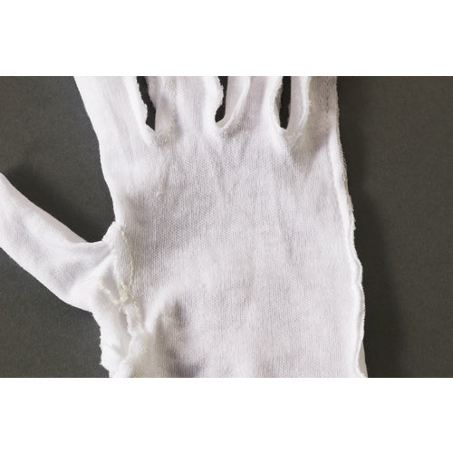 ＴＲＵＳＣＯ　品質管理用スムス手袋マチ有Ｌ寸　エコノミータイプ　DPM-110-L　1 DZ