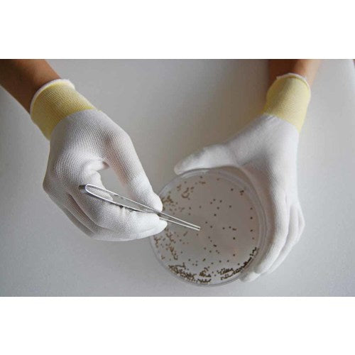 ＳＨＯＷＡ　まとめ買い簡易包装トップフィット手袋１０双入　Ｂ０６０１　ホワイト　Ｍサイズ　B0601-M10P　1 袋