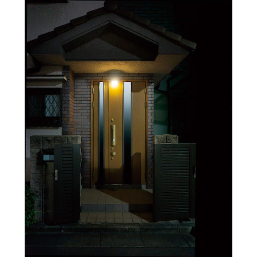 ELPA Hospitality Light HLH-2206 1 unit