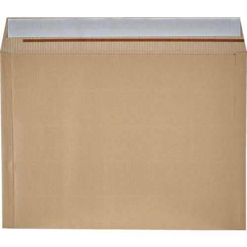 TRUSCCO 단단 봉투 쿠션 부착 폭 348x 높이 258x1 + 접힘 50mm 10장입 CF3425 1봉