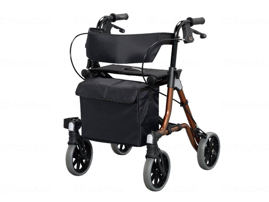 아론화성보행차 트라이링크 블라운