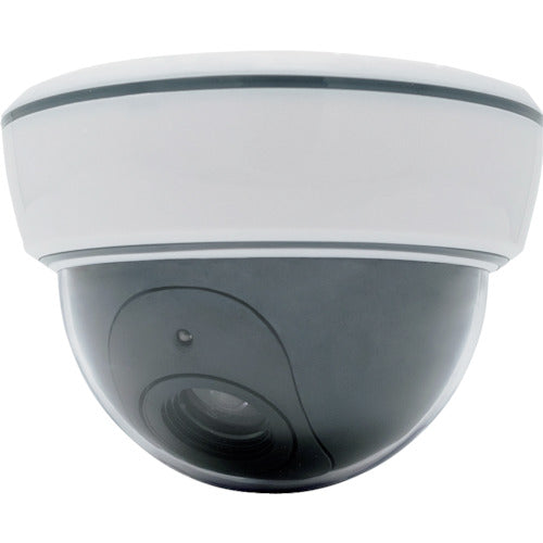 MT 돔형 더미 카메라 DS-1500B 1대