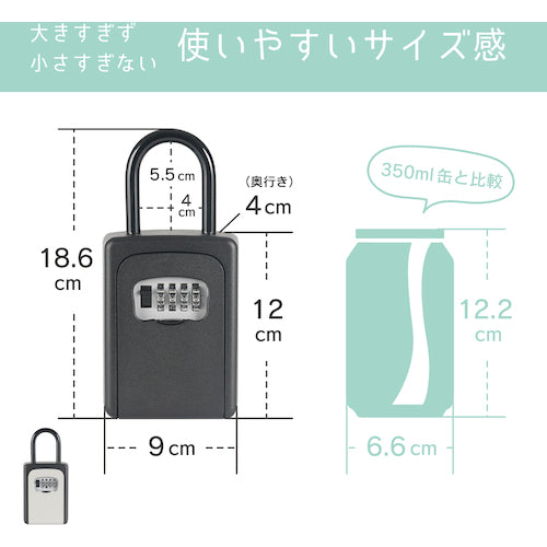 カール　キーボックス（吊り下げタイプ）　ブラック　CKB-S01-K　1 個