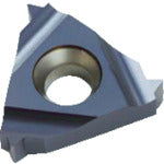 NOGA Carmex thread cutting tip for ISO metric threads Tip size 22 x P4.0 x 60° 22IR4.0ISOBMA 10 pieces