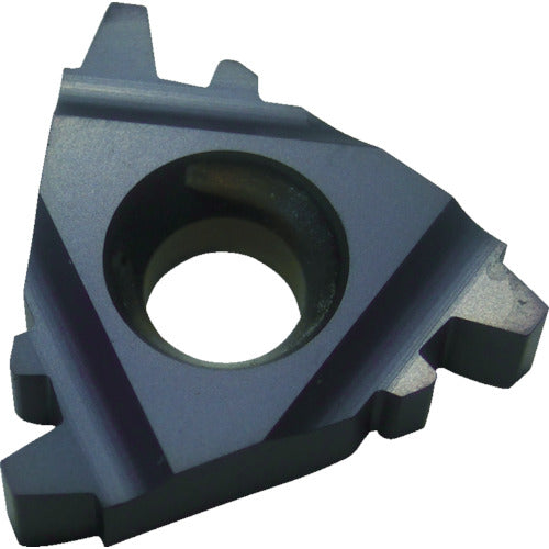 NOGA Carmex thread cutting tip TRAPEZ/for trapezoidal threads Tip size 22 x P5.0 x 30° 22IR5TRBMA 10 pieces