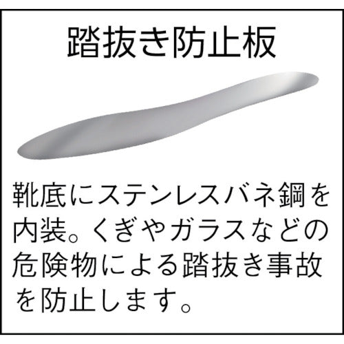 ミドリ安全　踏抜き防止板入りゴム長靴　２５．５ＣＭ　SDNG-25.5　1 足