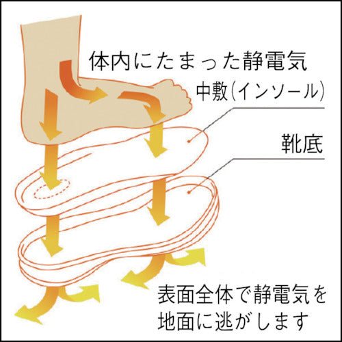 Midori Anzen Anti-Static Ultra-Lightweight Resin Toe Cap Sneakers SL-615S 23.5cm SL-615S-BK-23.5 1 Pair