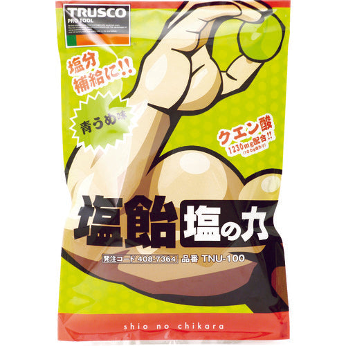 ＴＲＵＳＣＯ　【在庫限りで今季完売】【※軽税】塩飴　塩の力　１００ｇ袋入　青梅味　（１袋入）　TNU-100　1 袋