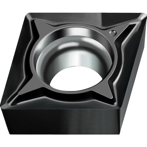 ワルター　旋削加工用チップ　８０°菱形ポジタイプ　ＷＮ１０　CCGT09T304-FN2　10 個