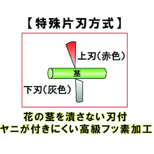 チカマサ　ＭＦ−８０００Ｐ用替刃　MF-8000P-K　1 枚