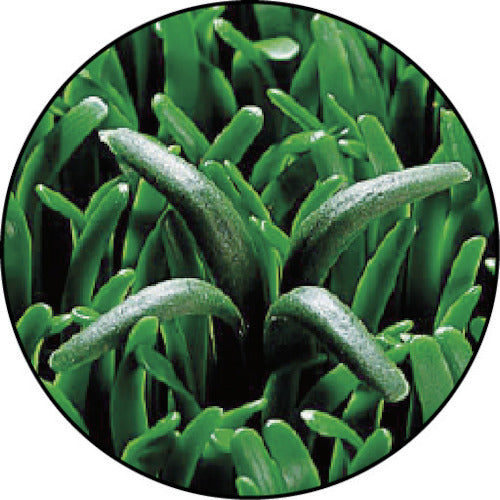 Teramoto Unit Turf Alpha Corner Edge MR-001-290-9 1 pc