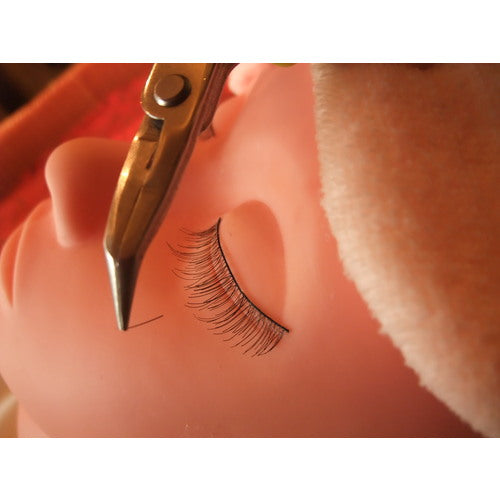 메리 정밀 팜플라이어 HN22 1 丁