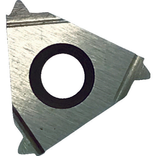 Sanwa Cutting Tool External Triangular Thread Cutting Tip Pitch 2.0mm 09P20 10 Pieces