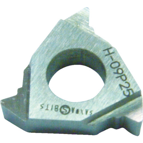Sanwa Cutting Tool External Triangular Thread Cutting Tip Pitch 2.5mm 09P25 10 Pieces