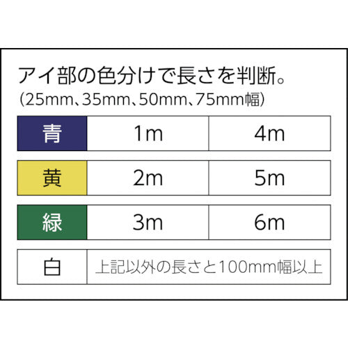 田村　ベルトスリング　Ｚタイプ　４Ｅ　１００×３．０　ZE1000300　1 本