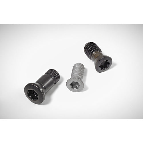 Walter headed screw FS326 1 piece