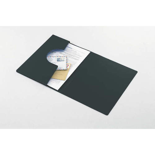 라이온 핸드 파일 HF-851 와인 A4 HF-851-WI(12880) 1권