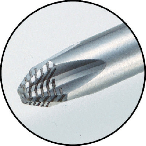 Wera Stainless Steel Phillips Screwdriver 2 x 100 032022 1 piece