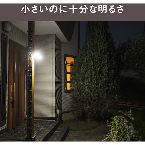 RITEX 5W×2등 LED 센서 라이트 LED-AC206 1대