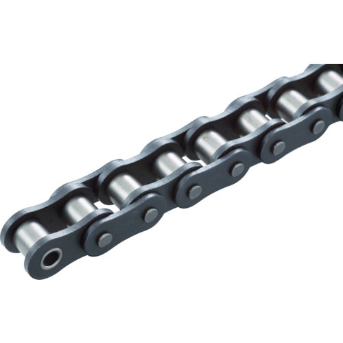 Senxia Lubush Roller Chain (Sintered Bush) 60FS-TS 1 piece