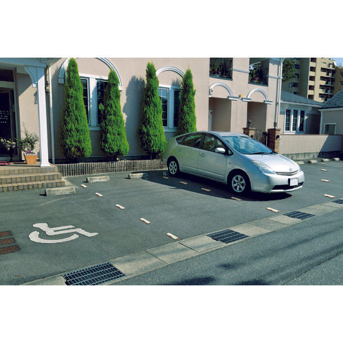 リッチェル　Ｎラインマーカー２０９Ｒ　498613　1 個