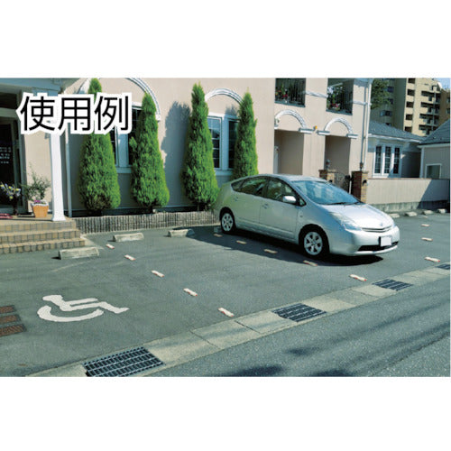 リッチェル　Ｎラインマーカー２０９Ｒ　498613　1 個