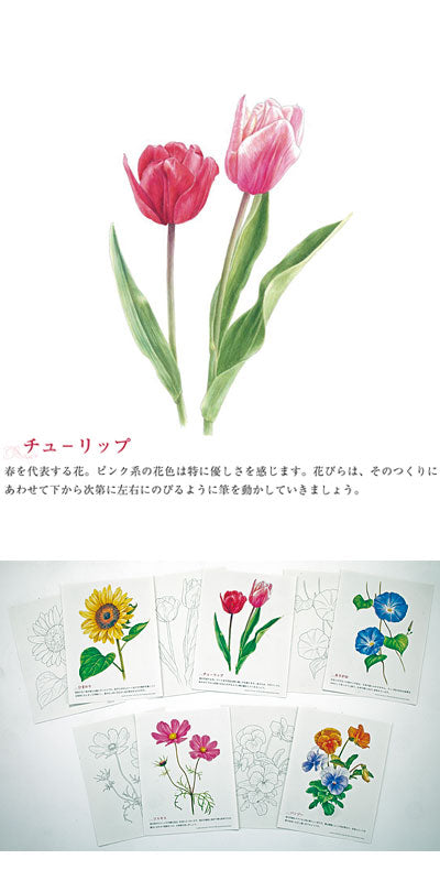 大人の塗り絵リクリエーションセット / 978430927428　1 ケース(20冊入)