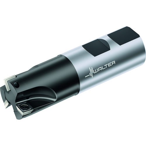 ワルター　肩削りカッター　M4132-020-W20-02-06　1 個