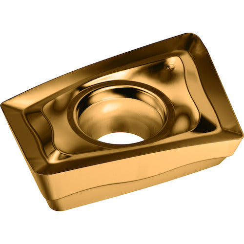 왈터 밀링 가공용 마름모형 포지칩 WKP35G LDMT14T308R-F57 10개