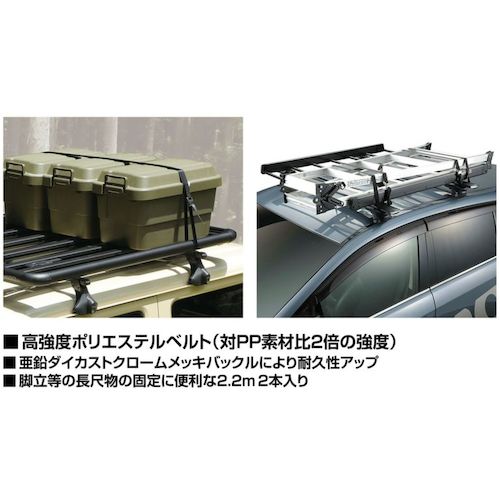 カーメイト　ハイグレードベルト２２０　IN821　1 組