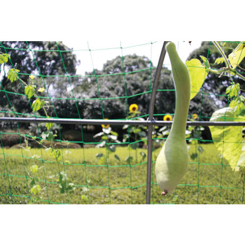 IRIS 101748 그린 커튼용 플랜터 550 GCP-550 1개