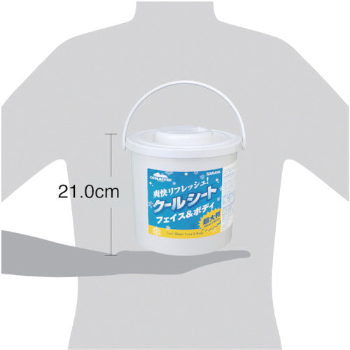 サラヤ　クールリフレ　７０枚入り　42411　1 CS