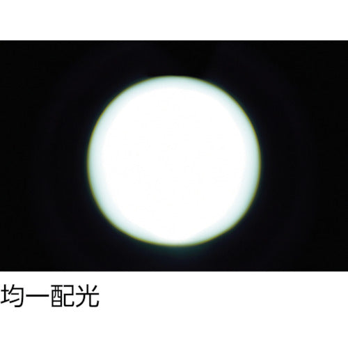 TRUSCO [Sold out and discontinued] TRUSCO small high brightness LED light PMLS-150 1 unit