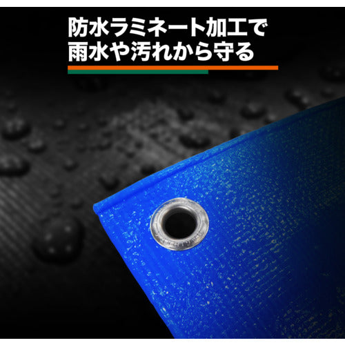 ＴＲＵＳＣＯ　【売切廃番】　肩掛けなので運搬時両手が使えるブルーシートα２５００寸法１０．０ｍ×１０．０ｍ　BSA25-1010　1 枚