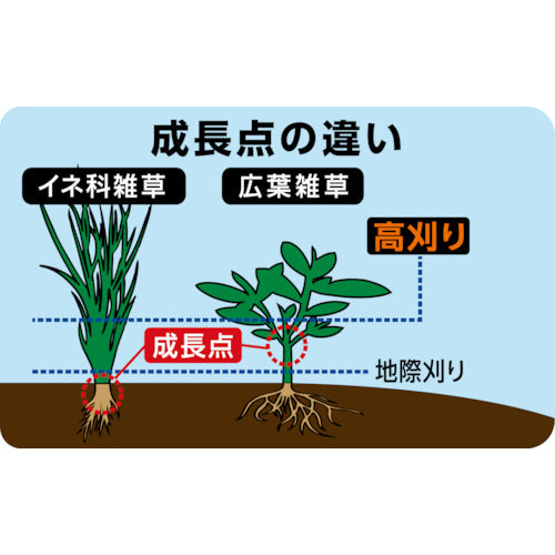 北村製作所　安定板　高刈り・刈刃専用タイプ　ハイ５０　ZAT-H50AA　1 個