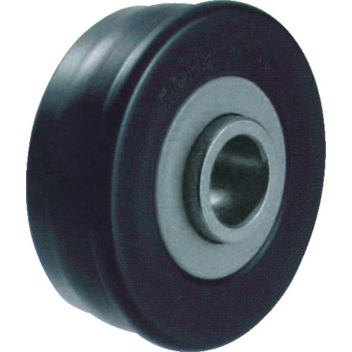 CCTY Carrier Roller Bearing New Bear (Steel) TCRB-3X2E 1 piece