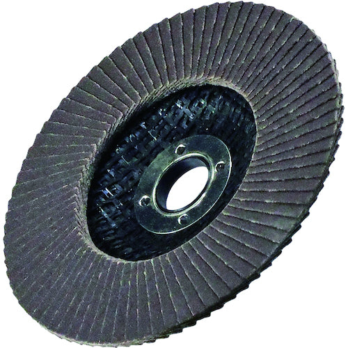 ヤナセ　金属ＴＯＰディスク１００Ｘ１５Ａ８０　TA05　1 枚