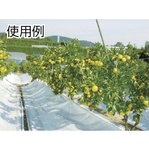 IWATA 라인 프로 L 타입(파랑) 2장들이 LPL5 1봉