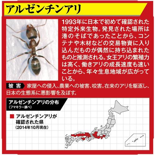 フマキラー　アリ用殺虫剤　アルゼンチンアリ巣ごと退治液剤１．８Ｌ　423402　1 個