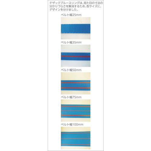 ＴＥＳＡＣ　ブルースリング（ＪＩＳ３等級・両端アイ形）荷重３．２ｔ　全長４．０ｍ　3E100X4　1 本