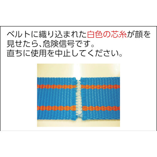 ＴＥＳＡＣ　ブルースリング（ＪＩＳ３等級・両端アイ形）荷重３．２ｔ　全長４．０ｍ　3E100X4　1 本