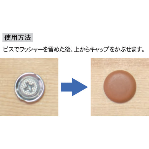 Dandorivis Dandori W Cap W78 Brown Abox C-WCX078-AX 1 box