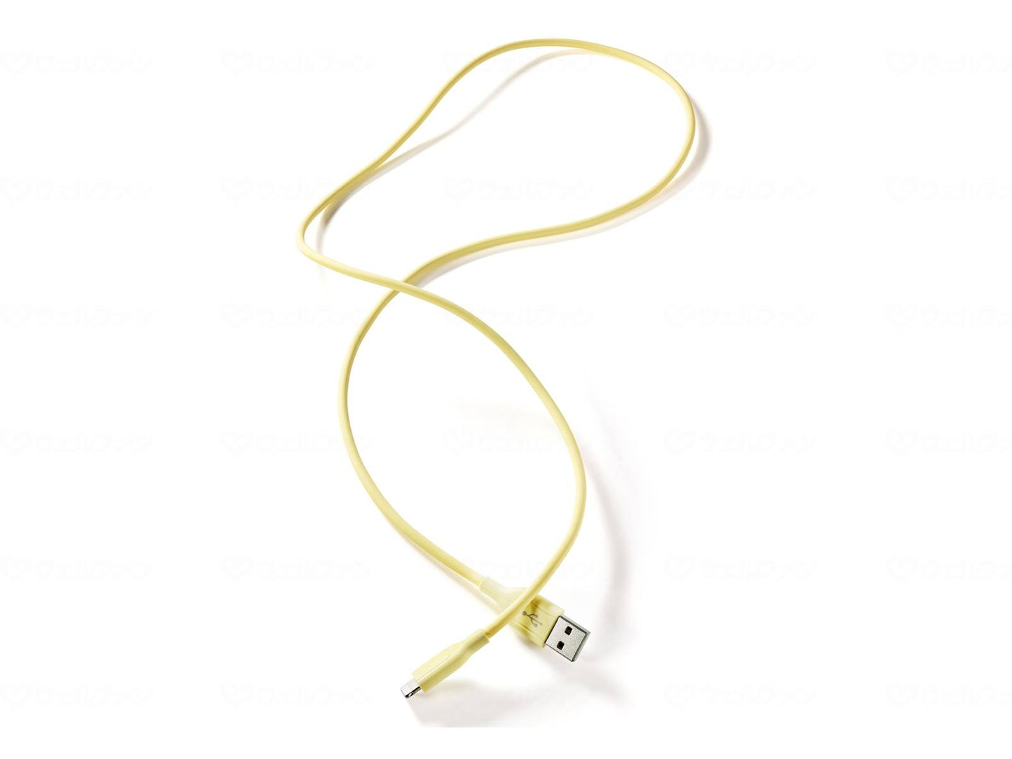 액세스 Lightning USB 케이블 이어로