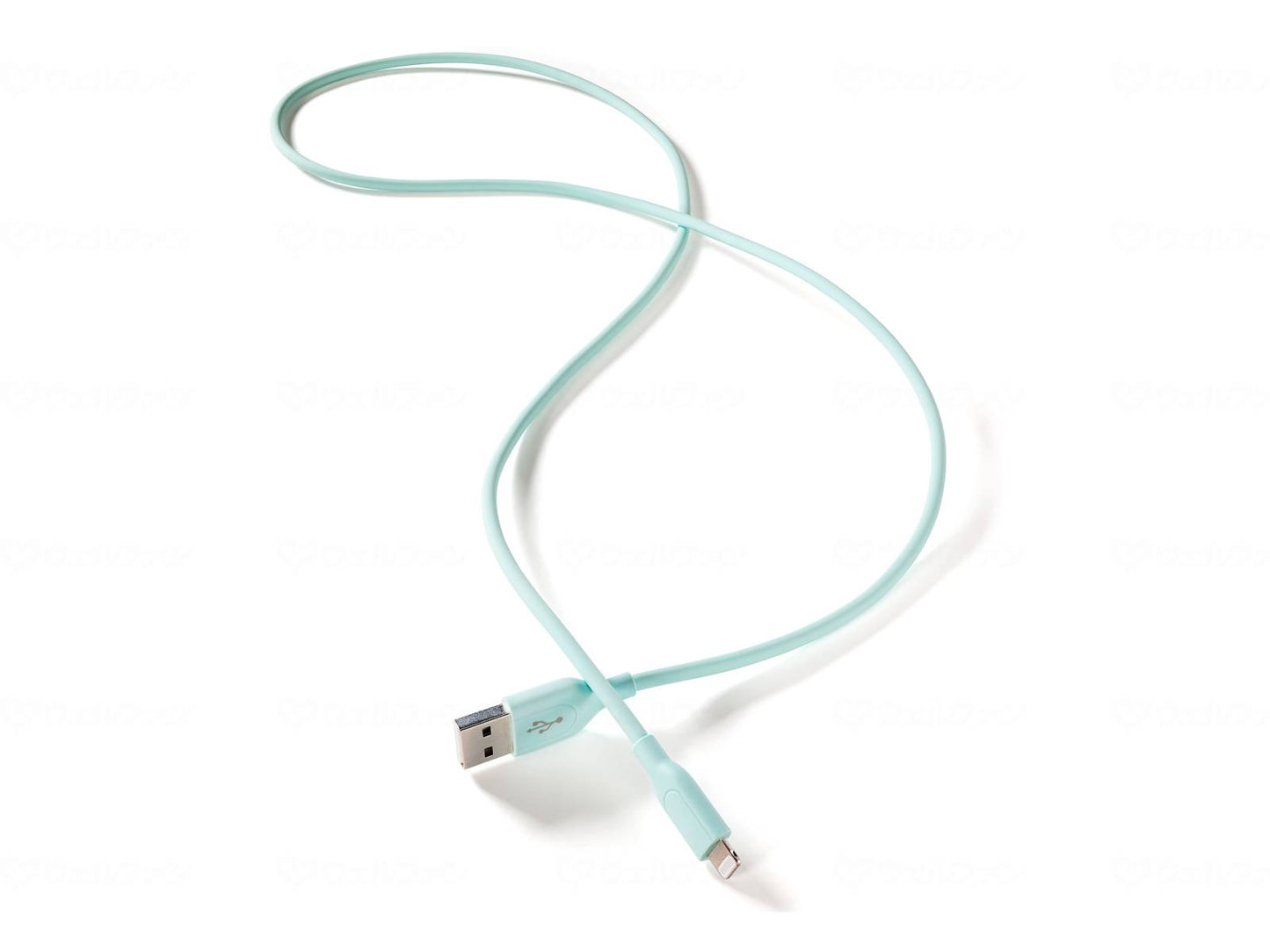 액세스 Lightning USB 케이블 글라인