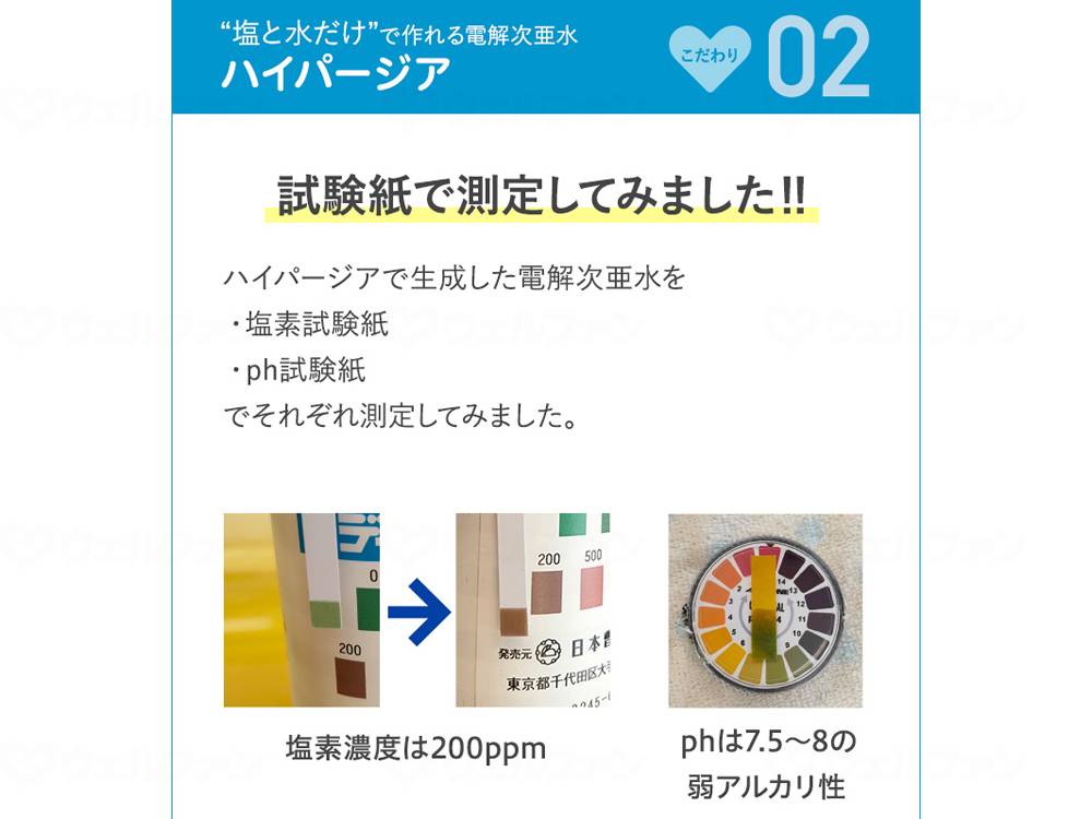 시스터 전해 차 아수메카이 하이페이지