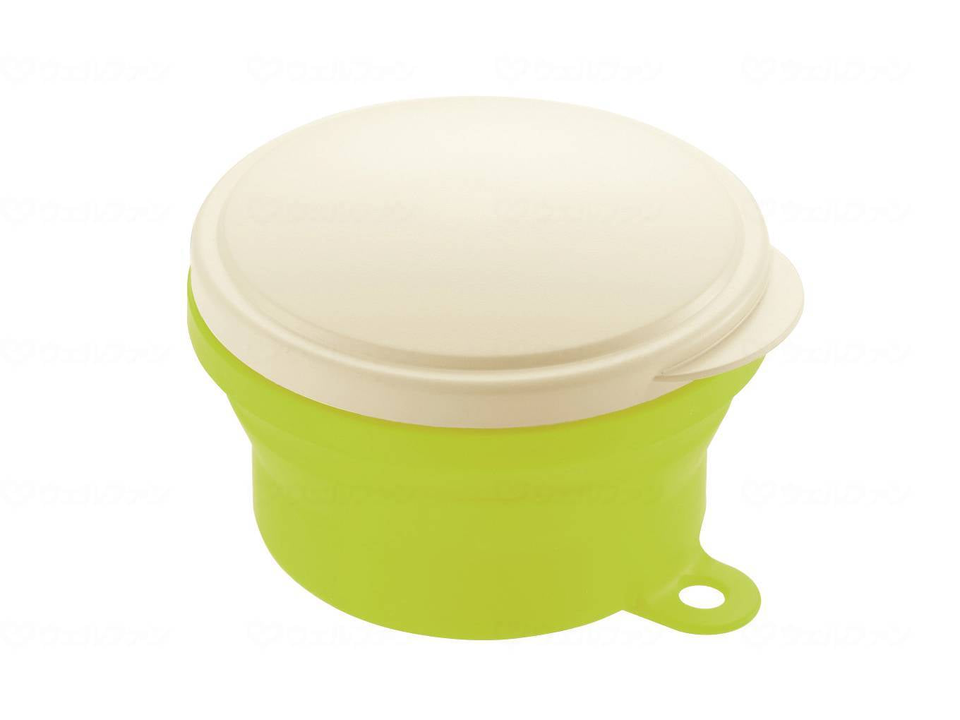 I like using Richell! Denture case