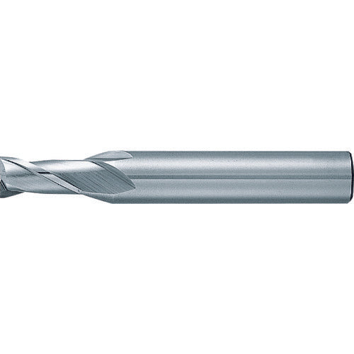 MOLDINO NK 쇼트 블레이드 엔드밀 2매 블레이드 0.8MM 2NKS0.8 1개