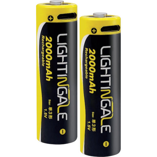 ライティンゲイル　ＬＥＤハンディフラッシュライト・単３形２本　LTG1002　1 PK