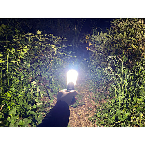 Lightingale LED Mini Lantern Bonfire + 3400mAh rechargeable battery LTG1004-34 1 PK