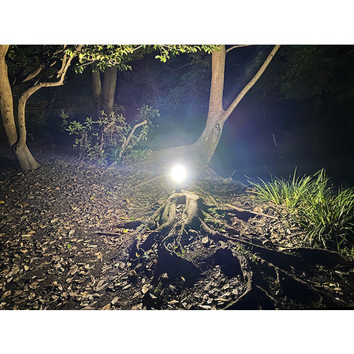 Lightingale LED Mini Lantern Bonfire + 2600mAh rechargeable battery LTG1004-26 1 PK